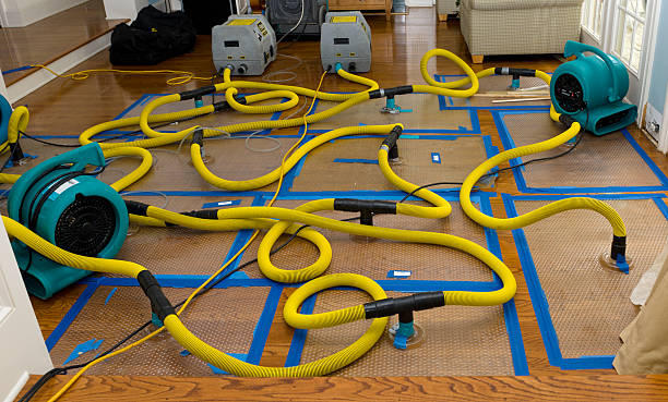 Professional Basement Flood Cleanup technician working in Mitchell, GA